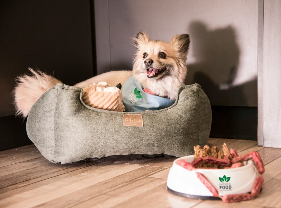 ‘A Pet Delícia, com seu crescimento contínuo e presença em milhares de pontos de venda, fortalece a EqSeed como uma das principais plataformas para empresas de alto potencial de crescimento no Brasil’, afirmou Monteiro (Foto: Unsplash)