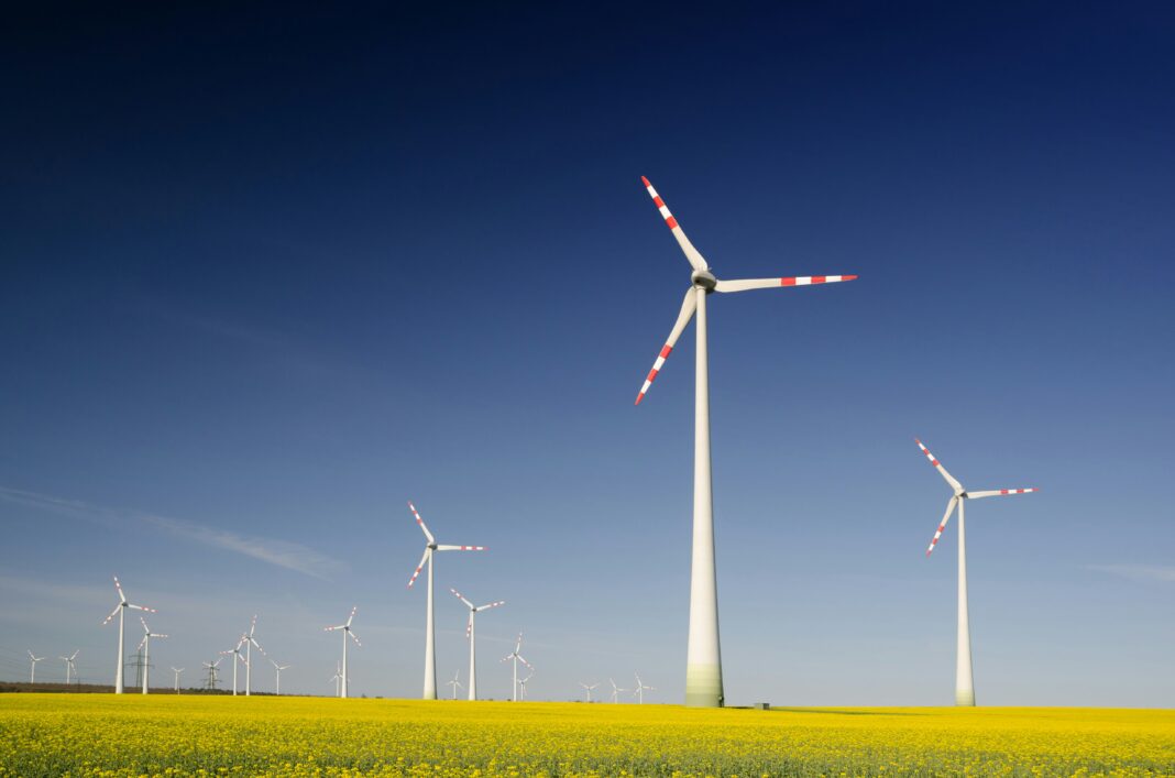 Greentechs são empresas dedicadas a mitigar os impactos negativos da atividade humana no meio ambiente e a reparar os danos já causados (Foto: Unsplash)