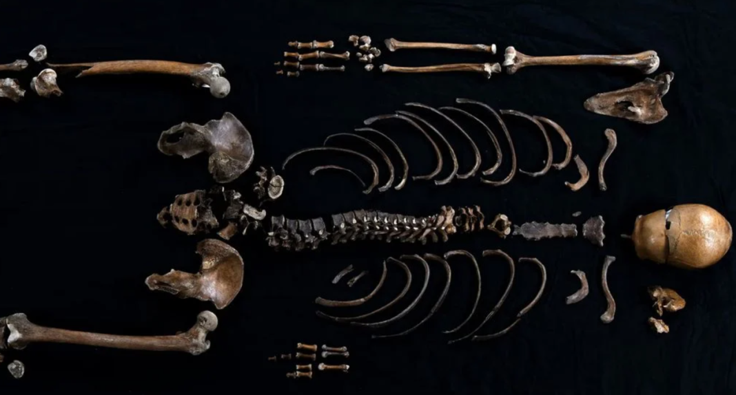 Restos mortais de 800 anos podem ser evidência de bioterrorismo medieval (Foto: Instagram)