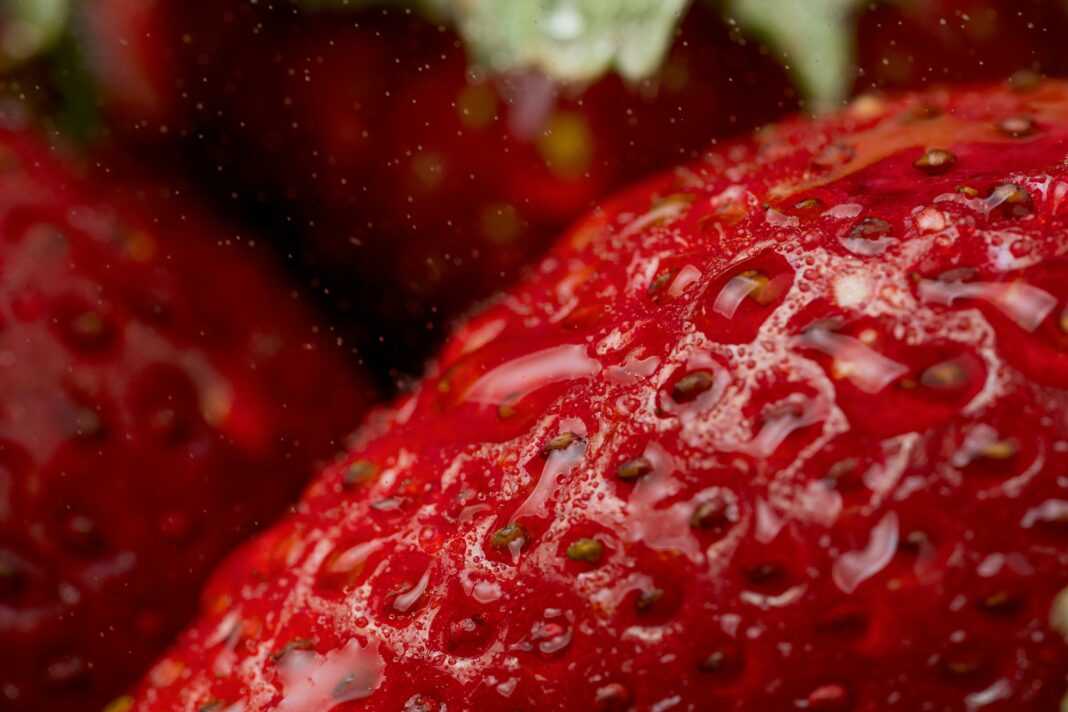 Nossa língua é coberta por papilas gustativas, onde se encontram células sensíveis aos diferentes sabores: doce, salgado, amargo, azedo e umami (Foto: Unsplash)