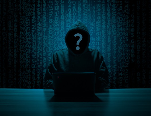 A montadora afirmou que não houve comprometimento de informações confidenciais ou pessoais de seus clientes e garantiu estar monitorando a situação para evitar possíveis riscos futuros (Foto: Pixabay)
