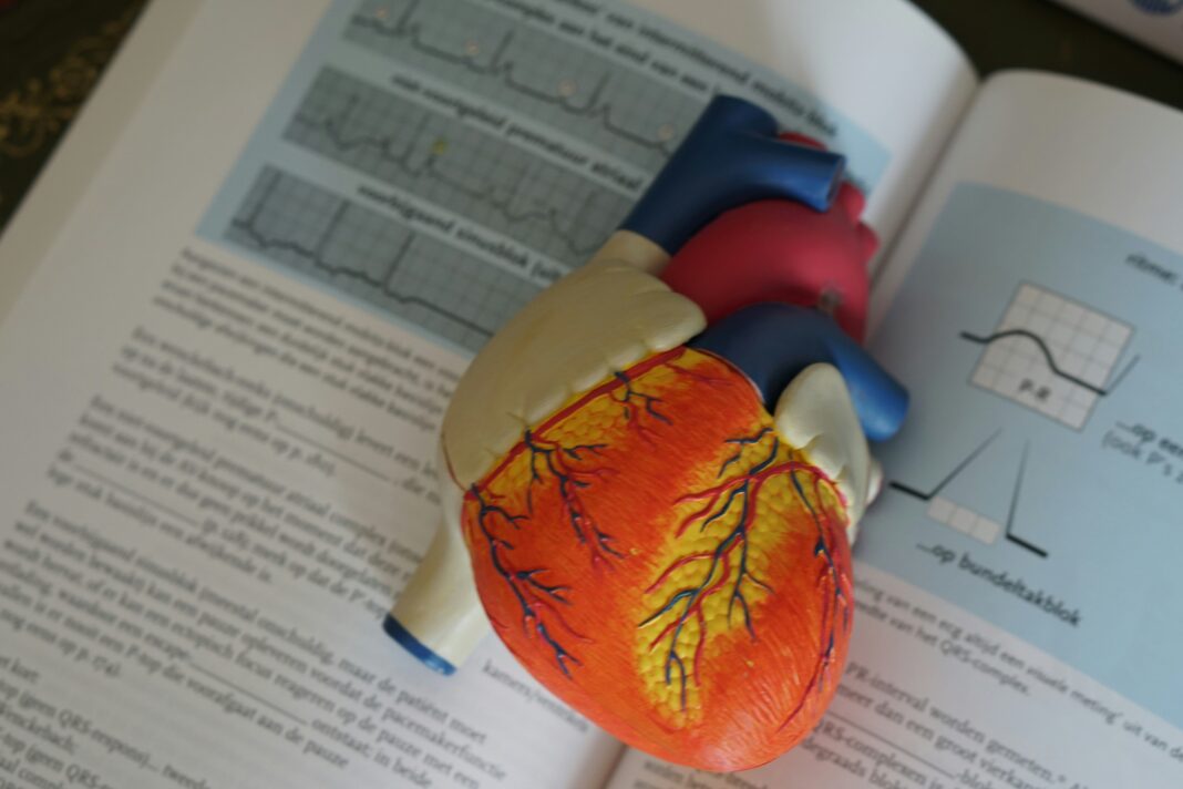 Pesquisadores dos EUA recomendam esperar entre três a seis meses após infarto para realizar procedimentos cirúrgicos com maior segurança (Foto: Unsplash)