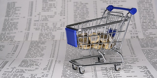 A dívida pública brasileira pode ultrapassar 100% do Produto Interno Bruto (PIB) em 2030, de acordo com previsão da Instituição Fiscal Independente (IFI) do Senado (Foto: Pixabay)