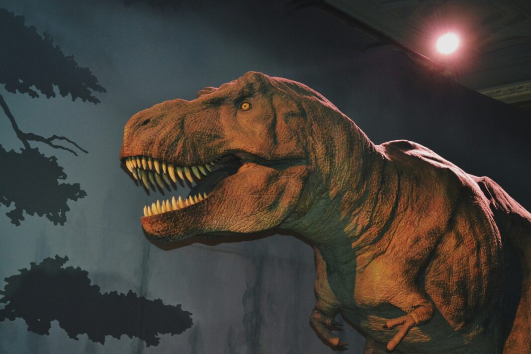 A origem dos primeiros dinossauros permanece um dos grandes mistérios da paleontologia (Foto: Unsplash)