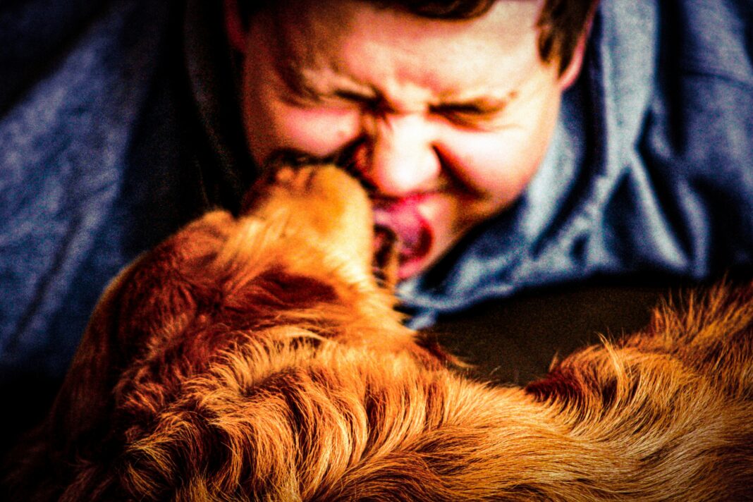 Embora os cães sejam conhecidos por sua companhia afetuosa e benefícios à saúde emocional, uma prática aparentemente inofensiva, como receber uma lambida, pode expor os humanos a riscos de saúde (Foto: Unsplash)