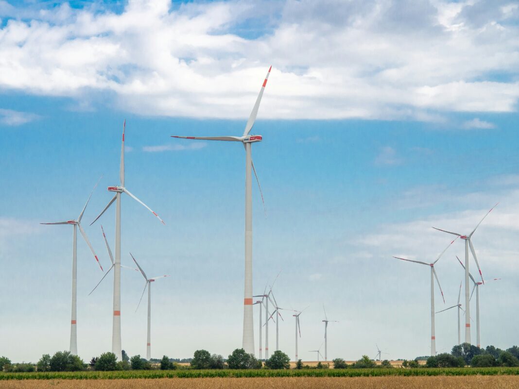 O empreendimento, situado no condado costeiro de Rudong, abrange uma área de quase 290 hectares e possui uma capacidade instalada de 400 megawatts (Foto: Unsplash)