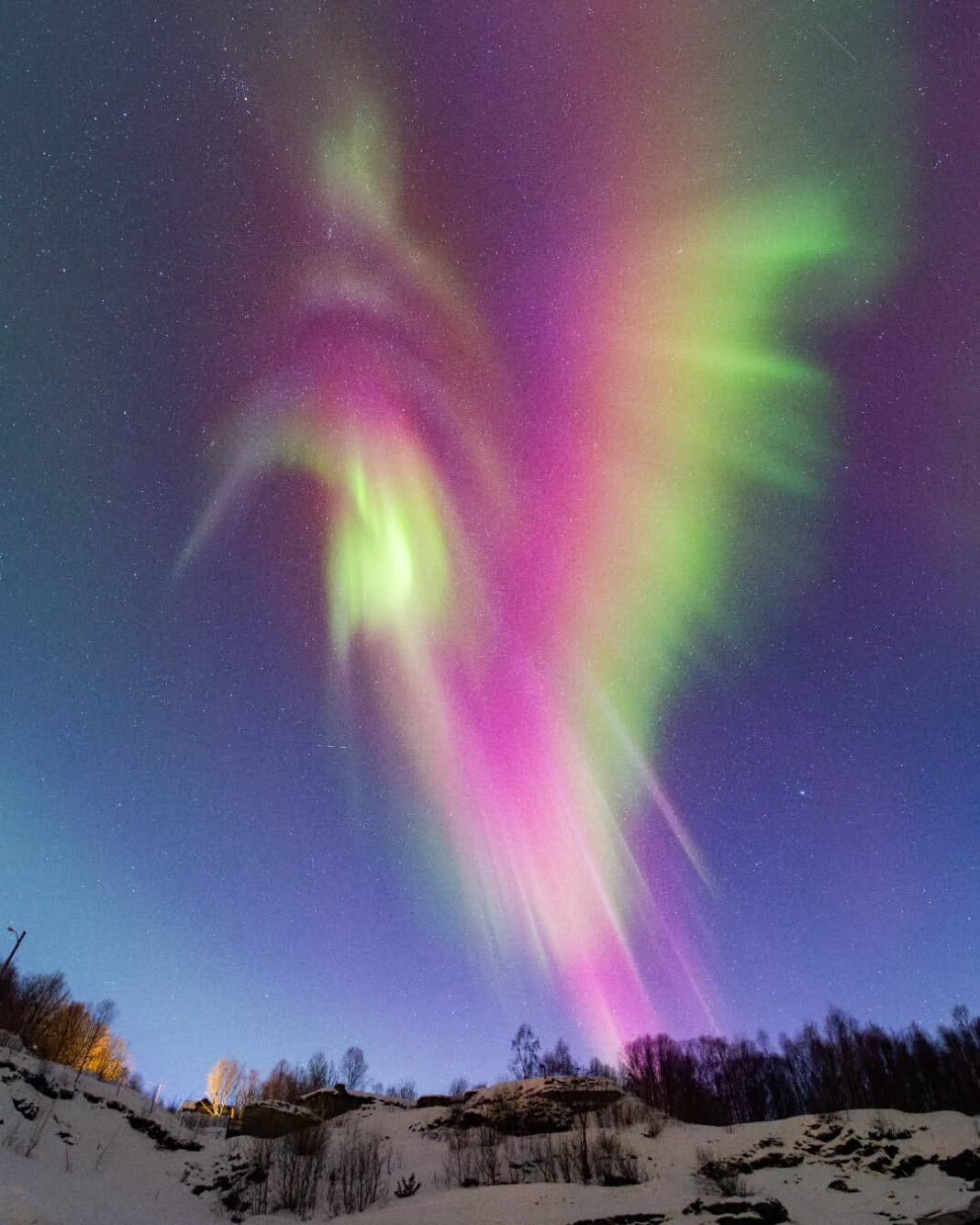 Foto de aurora boreal com formato de beija-flor encanta e ganha destaque da Nasa (Foto: Instagram)