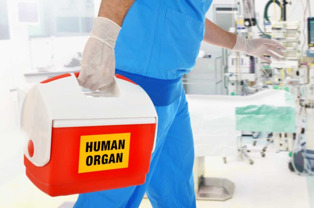 Relatos de pessoas que passaram por transplantes de órgãos e notaram mudanças em sua personalidade intrigam tanto pacientes quanto cientistas (Foto: X)