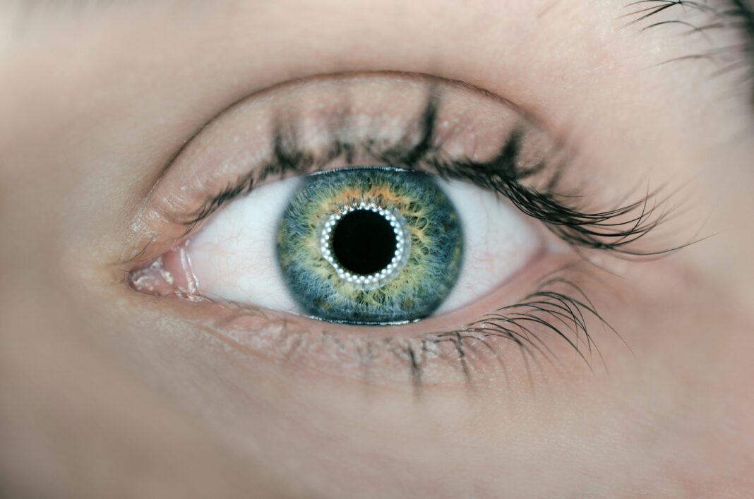 Um modelo de inteligência artificial treinado para analisar imagens da retina demonstrou uma precisão de até 90% ao identificar o sexo biológico de uma pessoa (Foto: Unsplash)