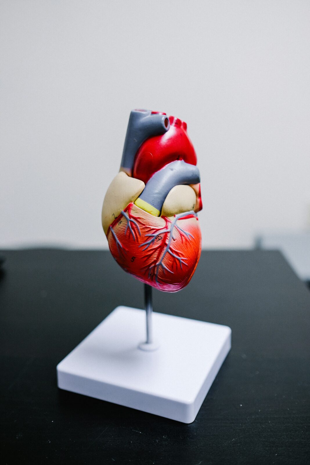 Um médico canadense viveu uma situação inusitada e, ao mesmo tempo, preocupante: ao atender um paciente com sintomas de infarto, percebeu que estava passando pelo mesmo quadro clínico (Foto: Unsplash)