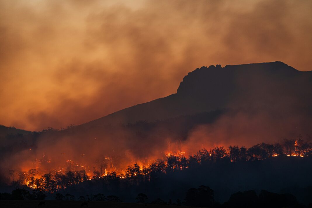 O governo estuda a criação de um cargo voltado ao enfrentamento do negacionismo climático, iniciativa que pode ganhar espaço na preparação para a Conferência das Nações Unidas sobre as Mudanças Climáticas (COP30), marcada para novembro, em Belém (PA) (Foto: Unsplash)