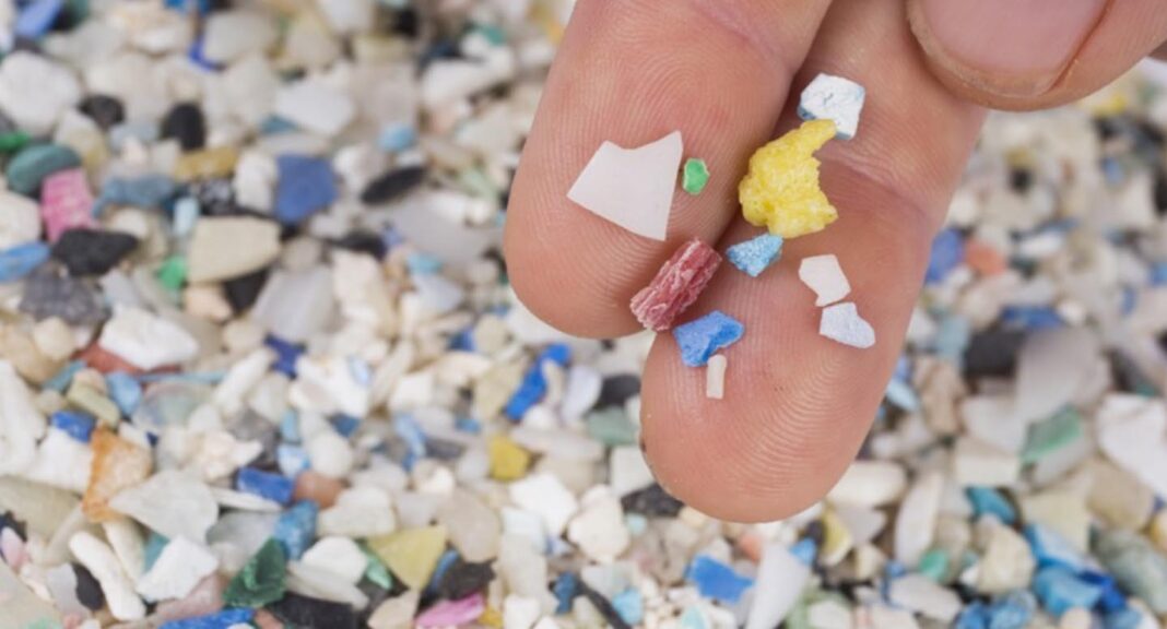 Cientistas de diferentes países descobriram que microplásticos ingeridos podem alcançar o cérebro em poucas horas (Foto: X)
