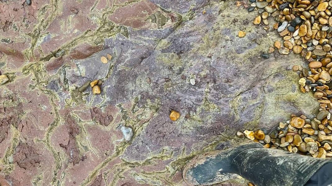 Uma impressionante pegada de dinossauro, datada de 130 milhões de anos, foi descoberta na Ilha de Wight, no Reino Unido (Foto: X)