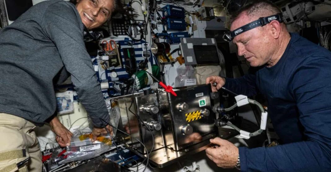 O lançamento da missão Crew-10, que levaria uma nova equipe de astronautas à Estação Espacial Internacional (ISS), foi adiado pela SpaceX nesta quarta-feira (12) (Foto: X)
