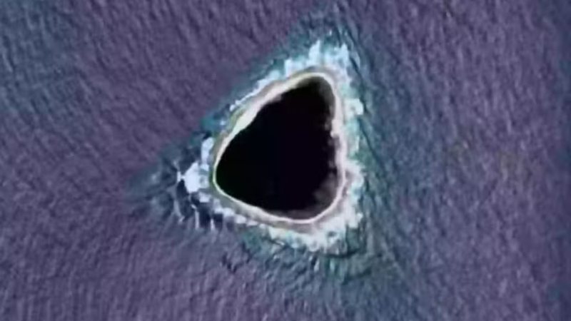 Entre os primeiros a documentar a biodiversidade da região estava o explorador da National Geographic, Enric Sala, que descreveu a experiência como fascinante (Foto: X)