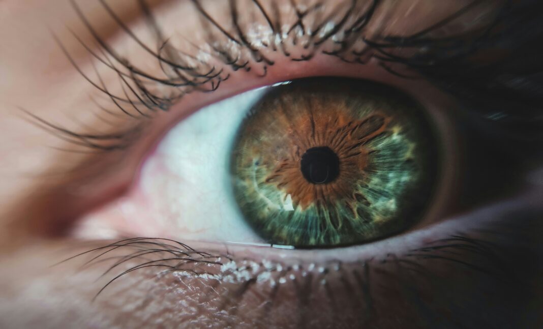 O mais eficaz conseguiu identificar corretamente a condição com 96,9% de precisão a partir de fotografias do fundo do olho, também conhecido como fundo de retina (Foto: Unsplash)