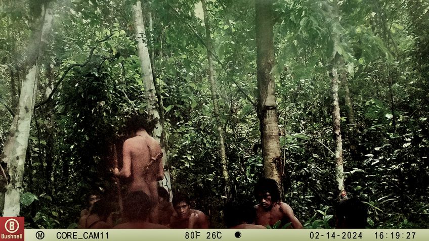 Um conjunto inédito de imagens registradas em fevereiro de 2024 trouxe à tona novos fragmentos da existência de um povo indígena isolado que vive em uma área remota de Rondônia, na Terra Indígena Massaco (Foto: X)