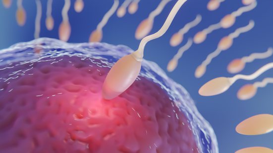 Segundo os cientistas, o medicamento age interrompendo a produção de espermatozoides sem afetar os níveis de testosterona — o que preserva a libido e o funcionamento do organismo masculino (Foto: X)