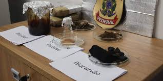 A Polícia Federal apresentou, em Belém, uma iniciativa promissora que busca transformar a cannabis apreendida em biocombustíveis, como gasolina, diesel e querosene verde (Foto: X)