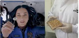 A mais recente missão da Blue Origin, que ganhou destaque por levar a cantora norte-americana Katy Perry ao espaço, também transportou algo que pode ser fundamental para o futuro da alimentação fora da Terra: plantas brasileiras. (Foto: X)