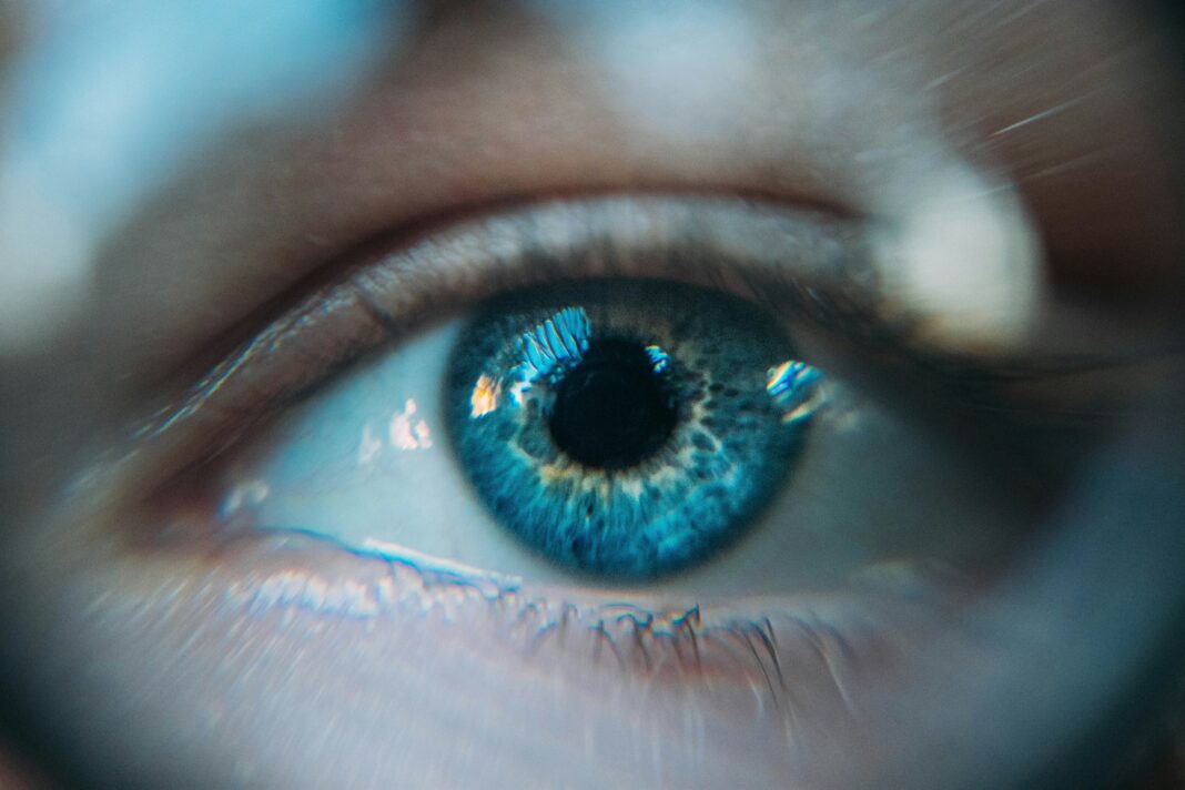 “Essa estratégia oferece um novo caminho para terapias menos invasivas e com maior precisão na recuperação visual”, destacam os autores no artigo (Foto: Unsplash)