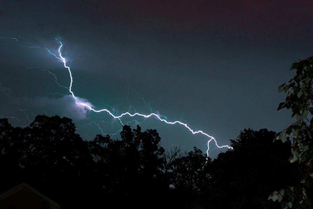 Quando um raio atinge uma árvore, o desfecho costuma ser trágico: a descarga elétrica violenta frequentemente danifica a estrutura e leva a planta à morte (Foto: Unsplash)