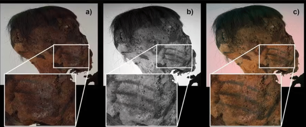 Embora classificada apenas como um artefato sul-americano, a posição do corpo — sentado, com os joelhos dobrados e envolto em tecidos — remete aos rituais funerários da cultura Paracas, civilização que ocupou a costa sul do atual Peru (Foto: X)