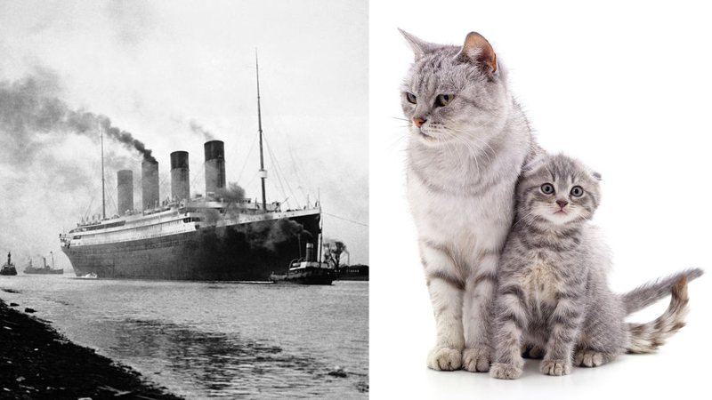 Uma história pouco conhecida envolvendo o naufrágio do Titanic voltou a chamar atenção por seu teor enigmático (Foto: X)