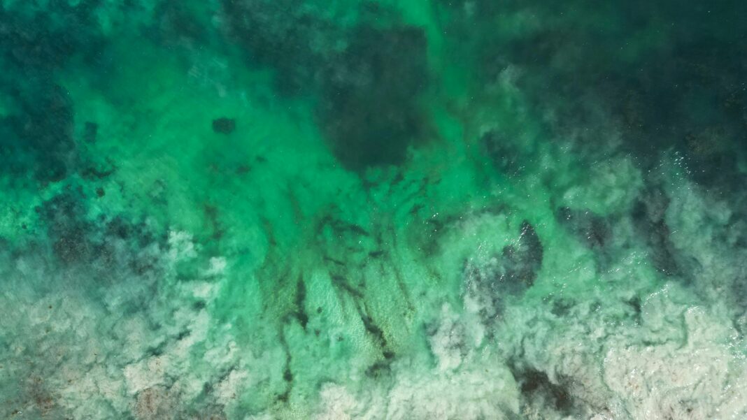 Uma série de descobertas no fundo do mar da Indonésia está reescrevendo parte da história da evolução humana (Foto: Unsplash)