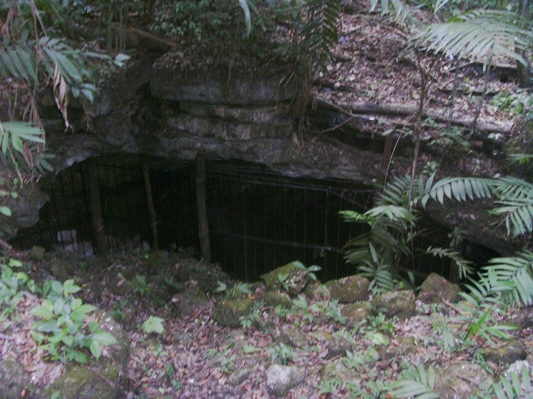 Uma caverna submersa no coração da Guatemala trouxe à tona um capítulo sombrio da antiga civilização maia (Foto: X)