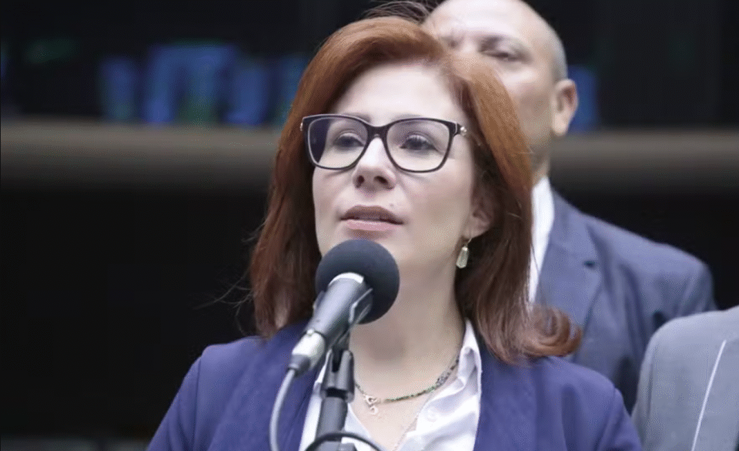O relator do caso será o deputado Diego Garcia (Republicanos-PR), que ficará responsável por elaborar um parecer sobre o processo após a manifestação da defesa de Zambelli (Foto: X)