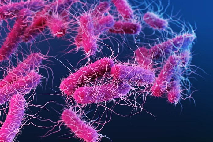 Uma descoberta feita no Reino Unido promete revolucionar o combate à poluição plástica e ainda mudar a forma como produzimos medicamentos (Foto: X)
