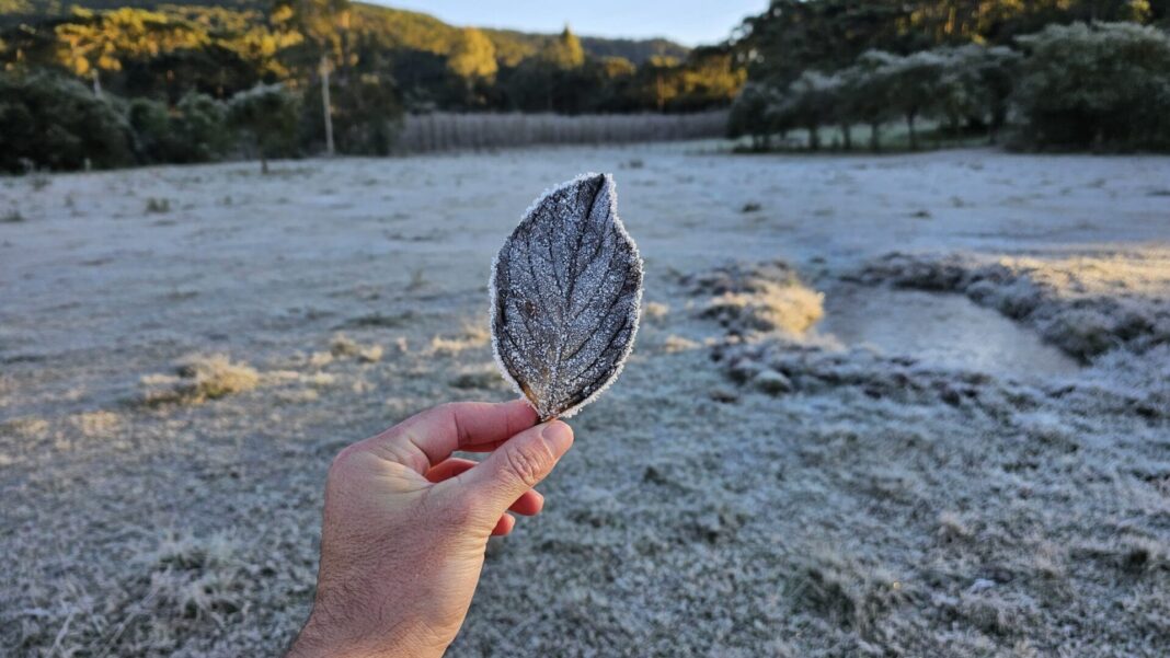 O amanhecer desta quarta-feira (25) trouxe um espetáculo gelado para Santa Catarina (Foto: X)