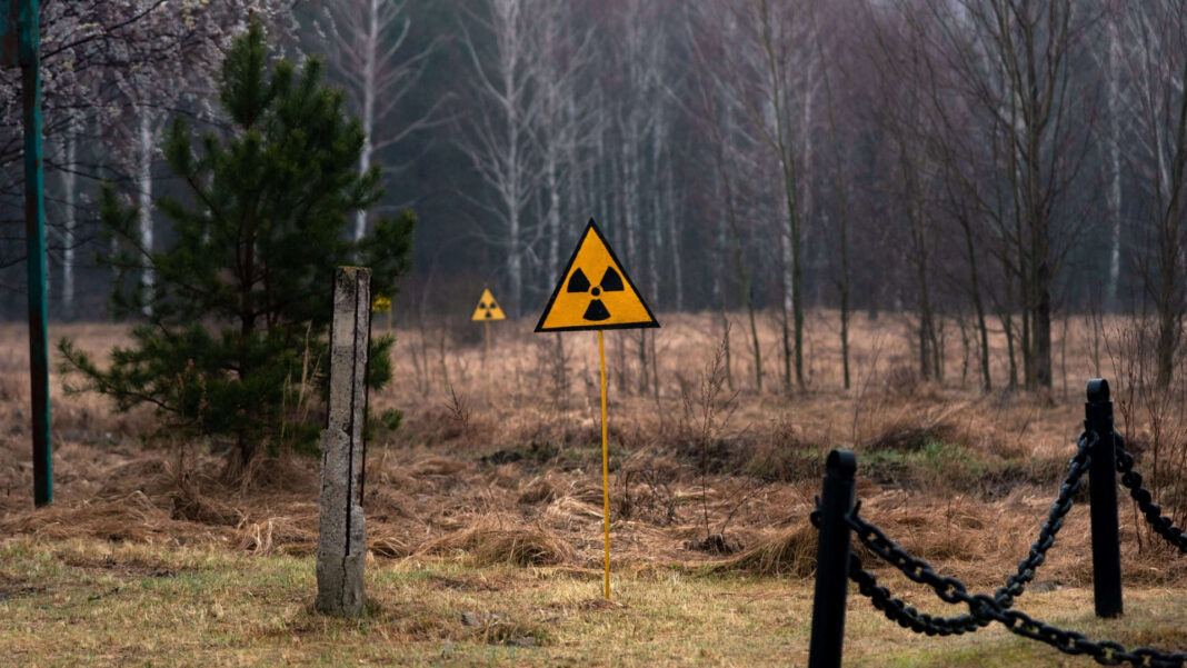 Em meio aos escombros radioativos de Chernobyl, na Ucrânia, um tipo especial de fungo vem chamando a atenção da ciência: o Cladosporium sphaerospermum (Foto: X)