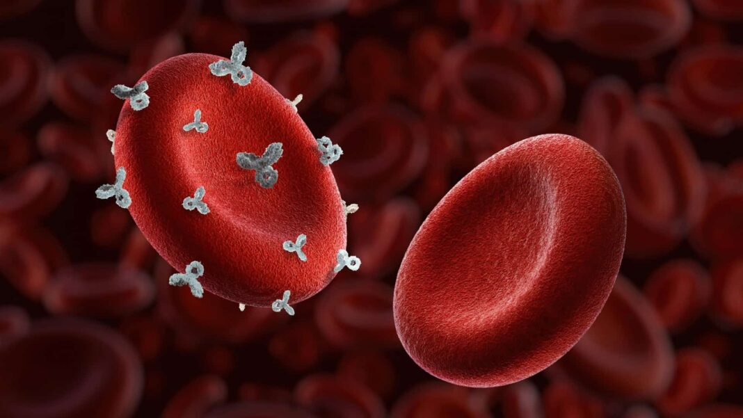 Uma descoberta científica inédita acaba de ampliar a lista dos tipos sanguíneos conhecidos no mundo (Foto: X)