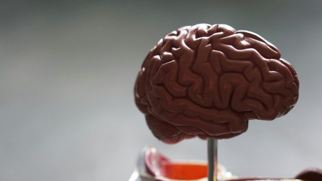 Um novo estudo publicado na revista Nature Communications revelou que a pandemia de Covid-19 provocou efeitos neurológicos mesmo em pessoas que não foram infectadas pelo vírus (Foto: X)