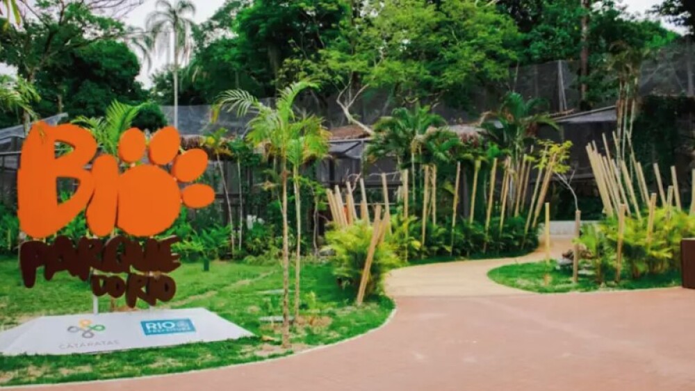 Nove galinhas-d’angola morreram em decorrência da gripe aviária no BioParque do Rio, localizado na Quinta da Boa Vista, na capital fluminense (Foto: X)
