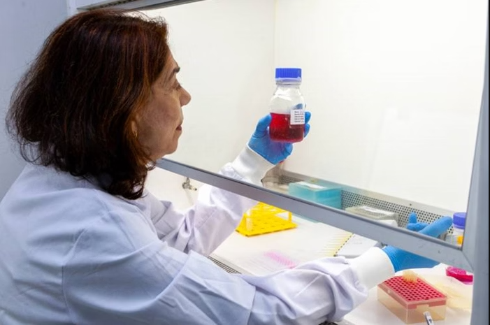 O Instituto Butantan está avançando no desenvolvimento de um novo medicamento com potencial para proteger gestantes contra o vírus zika, responsável por casos graves de microcefalia e outras malformações em recém-nascidos (Foto: X)