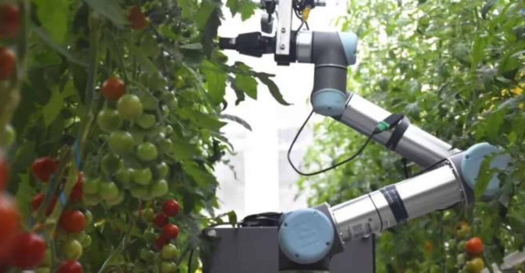 A polinização, etapa essencial para o cultivo agrícola, está ganhando um aliado inesperado: robôs controlados por inteligência artificial (Foto: X)