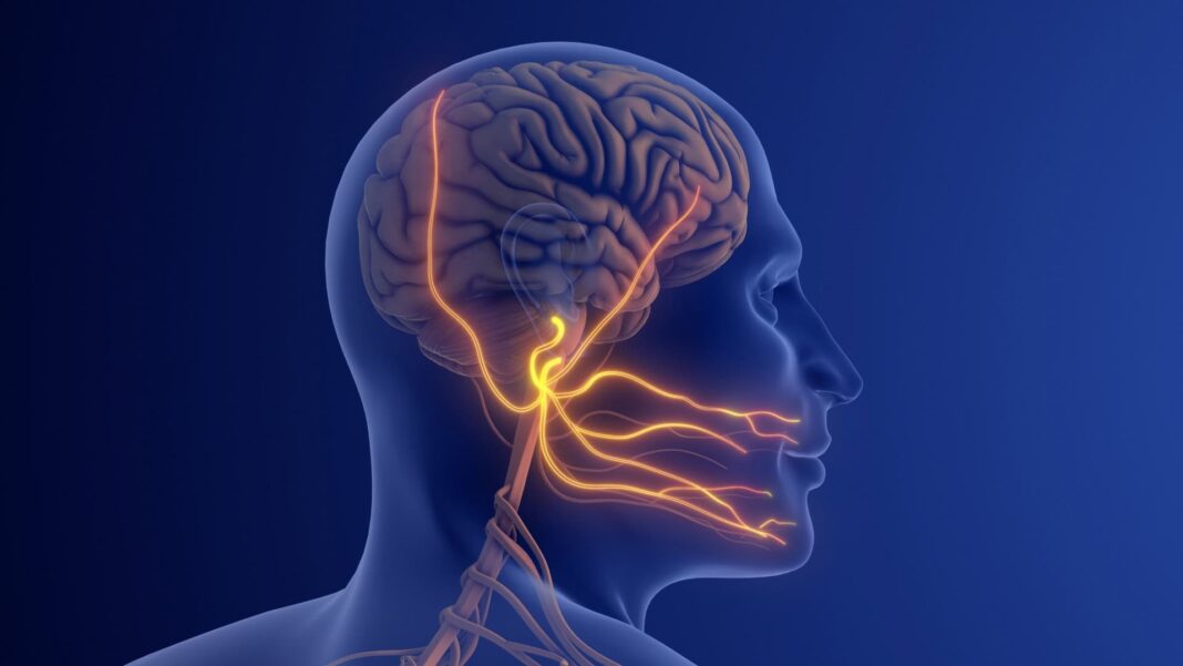A veterinária Carolina Arruda, 28 anos, convive há mais de uma década com a neuralgia do trigêmeo, condição considerada por especialistas como a “pior dor do mundo” (Foto: X)