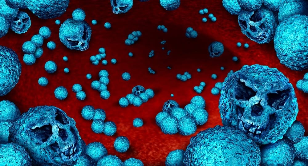 As chamadas superbactérias — microrganismos que desenvolveram resistência a antibióticos — estão entre as maiores preocupações da saúde pública mundial (Foto: X)