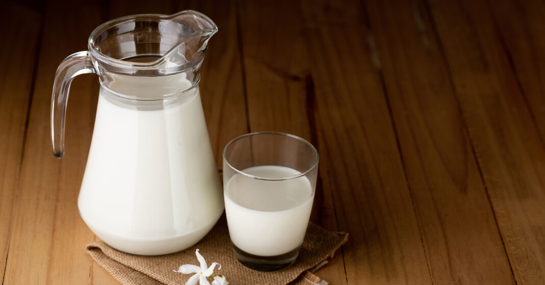 Muitos ainda associam o hábito de beber leite todos os dias à ideia de ossos fortes. (Foto: X)