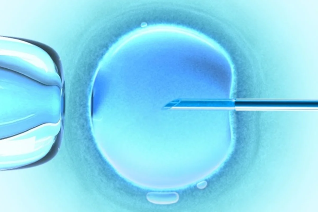 A inteligência artificial (IA) está começando a ocupar um papel crescente nos laboratórios de reprodução assistida e pode redefinir o futuro da fertilização in vitro (FIV) (Foto: X)