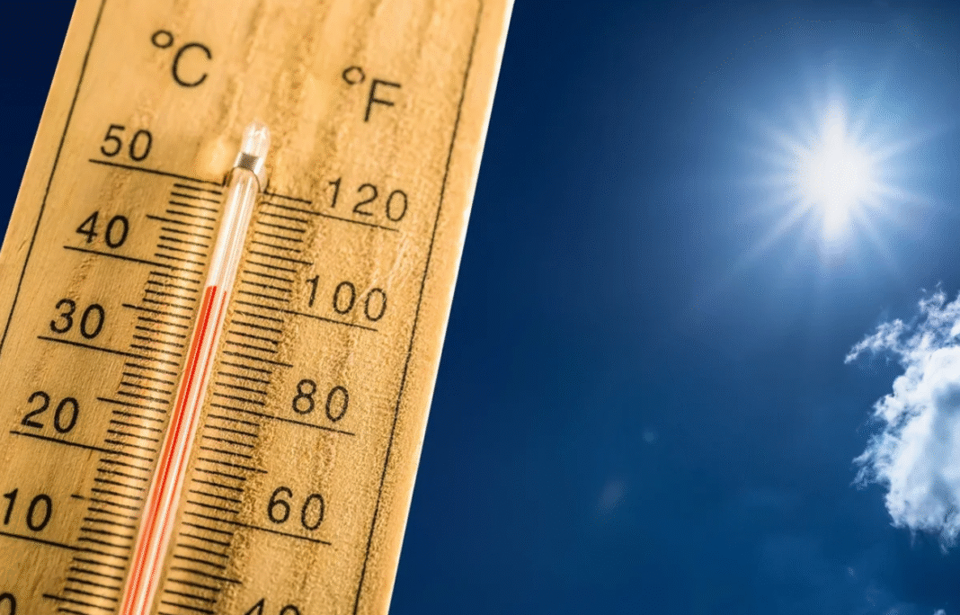 Segundo ela, as soluções para conter a crise climática “já existem”, citando o avanço das energias renováveis e a necessidade de enfrentar as emissões de metano (Foto: X)