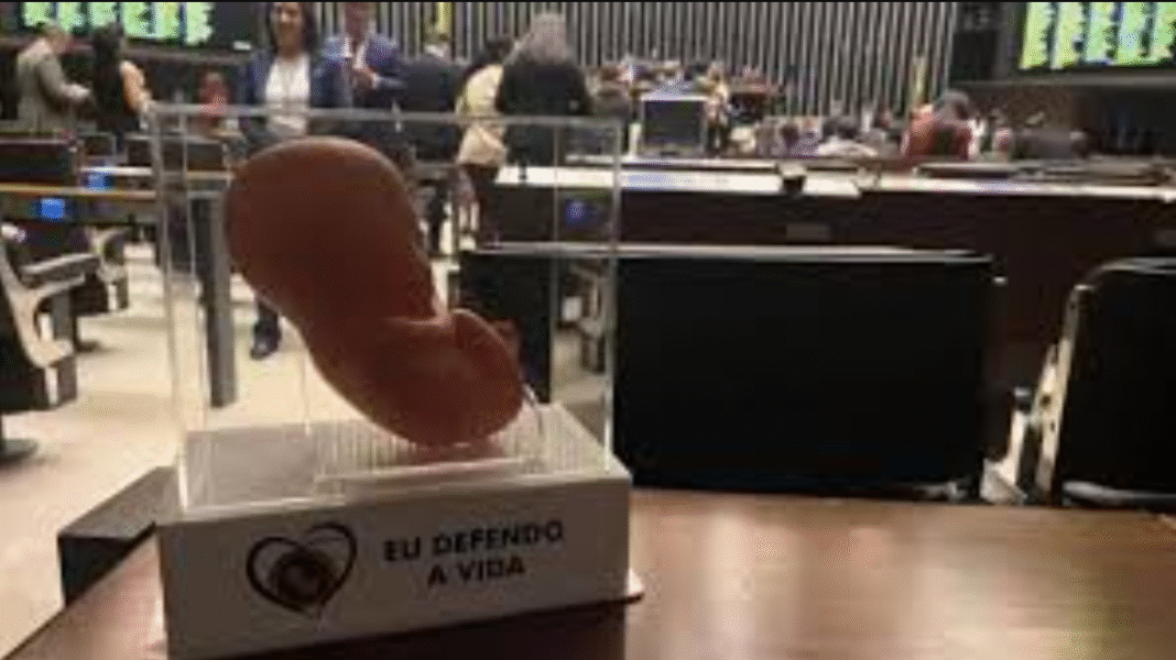 A resolução do Conanda garantia que, nos casos previstos em lei — gravidez resultante de estupro, risco à vida da gestante ou anencefalia do feto —, o acesso à interrupção da gestação deveria ser assegurado “da forma mais célere possível e sem a imposição de barreiras sem previsão legal” (Foto: X)