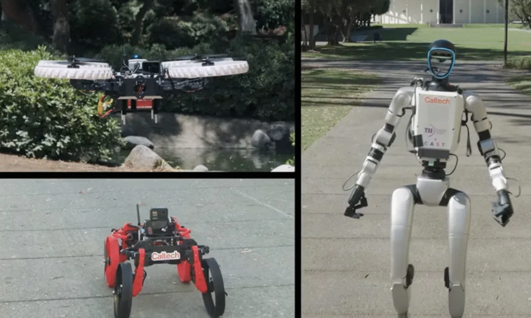 Pesquisadores da California Institute of Technology (Caltech), em parceria com o Instituto de Inovação Tecnológica de Abu Dhabi (TII), apresentaram um robô humanoide capaz de lançar um drone acoplado às costas — recurso que lhe rendeu o apelido de “Transformer” (Foto: X)
