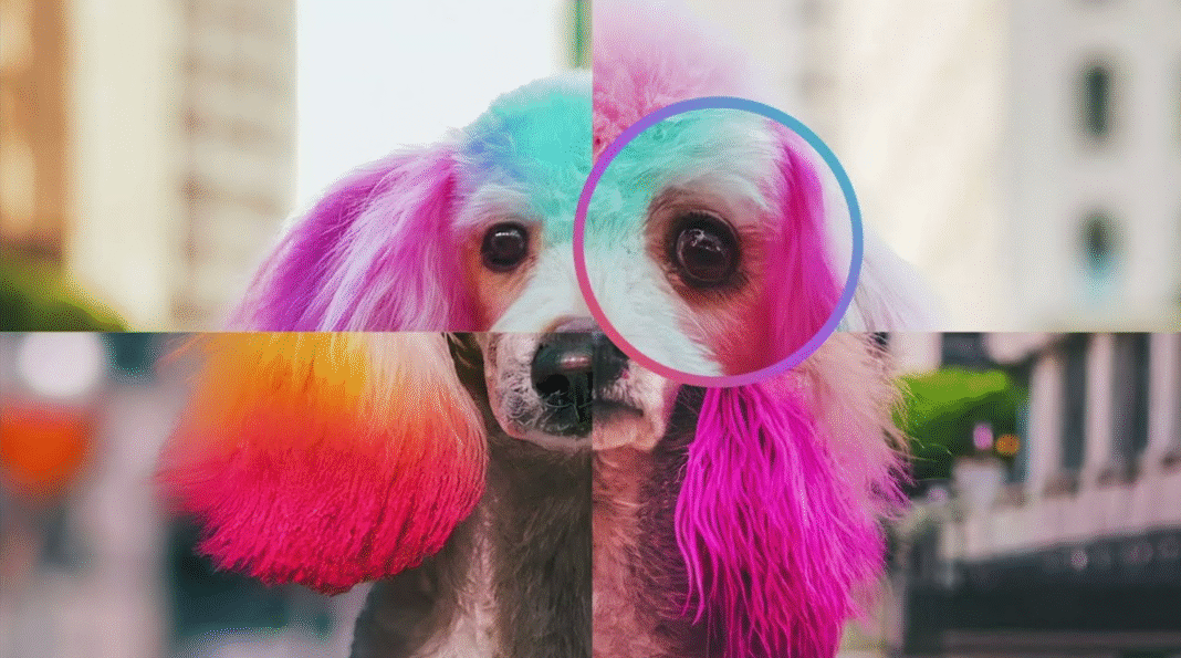 O Google começou a disponibilizar no aplicativo Gemini um recurso que promete ajudar usuários a responder a uma dúvida cada vez mais comum: afinal, uma imagem é real ou criada por inteligência artificial? (Foto: X)