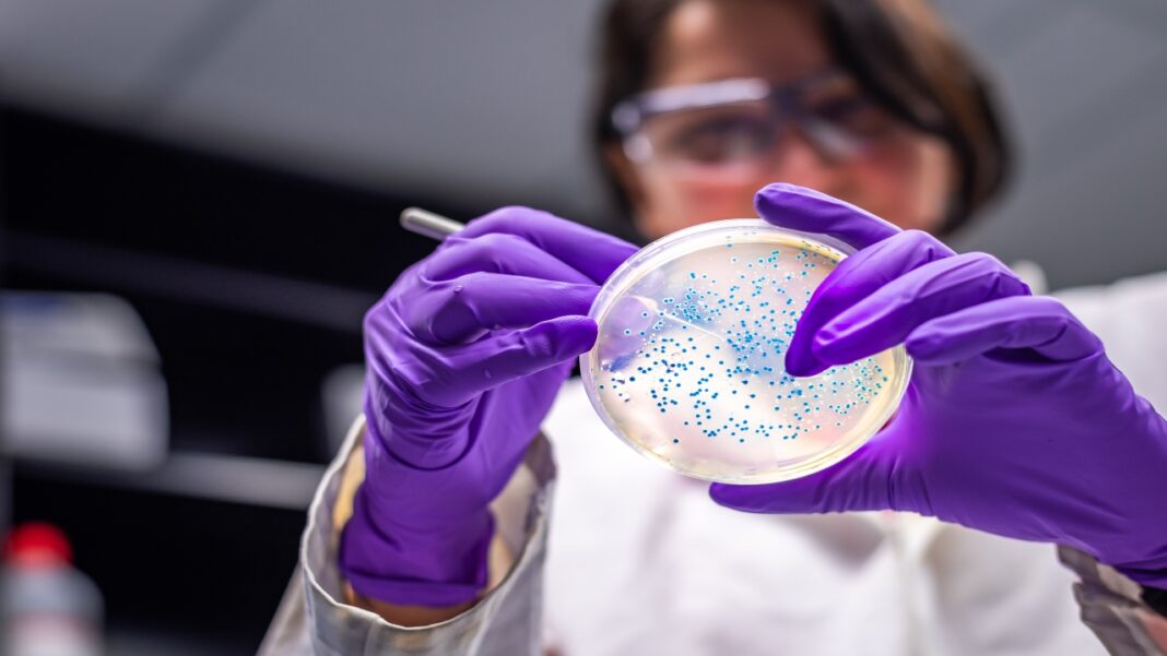 Uma descoberta feita quase por acidente pode renovar a esperança na busca por antibióticos eficazes contra infecções resistentes (Foto: X)