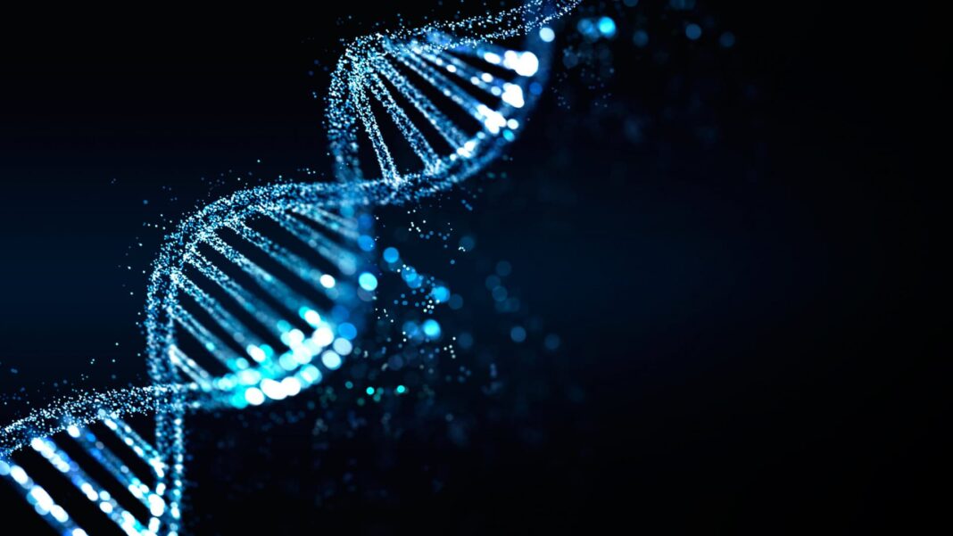 Pesquisadores da Harvard Medical School e do Centro de Regulação Genômica (CRG), em Barcelona, desenvolveram um novo modelo de inteligência artificial capaz de prever mutações potencialmente perigosas antes mesmo que elas sejam observadas na prática clínica (Foto: X)