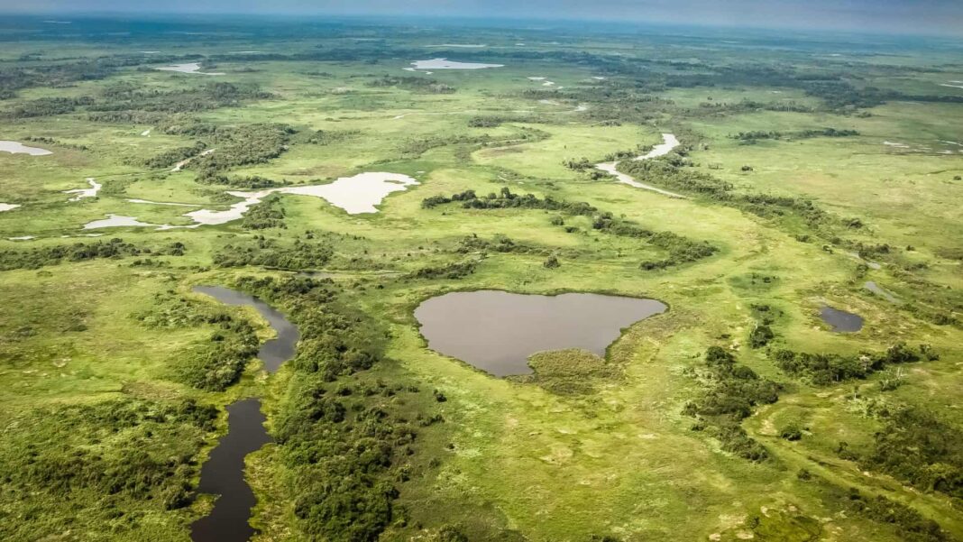 O Pantanal atravessa o período mais seco desde o início dos registros modernos (Foto: X)